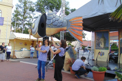 DSC02706