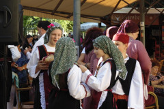 DSC02870