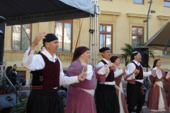DSC02919