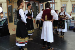 DSC03556